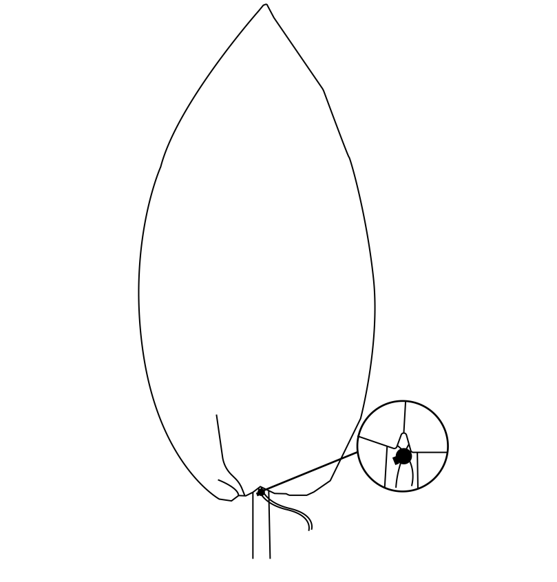 Protective Plant Cover, 50gsm Sack with Cord, Diameter 57 cm, Size 0.9m x 1.5m