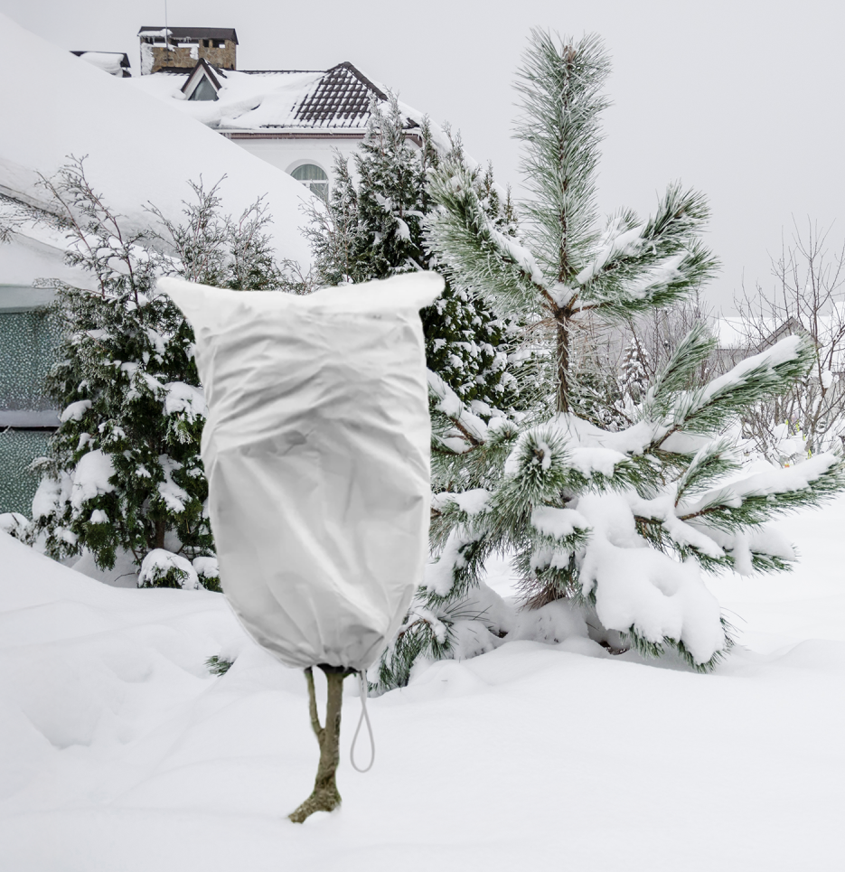 Protective Plant Cover, 50gsm Sack with Cord, Diameter 57 cm, Size 0.9m x 1.5m